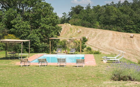 Amantino 8: Arbre, Piscine, Jardin, Loisir, Mobilier De Jardin, Pelouse, Ombre, Chaise, Arrière-Cour, Recours