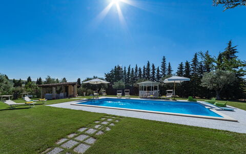 Il Podere di Fi 8: Piscine, Recours, Jardin, Mobilier De Jardin, Aménagement Paysager, Pelouse, Biens, Loisir, Eco Hôtel, Ombre