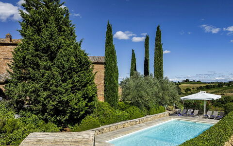 Casale dei 12: Arbuste, Jardin, Aménagement Paysager, Haie, Biens, À Feuilles Persistantes, Villa, Hacienda