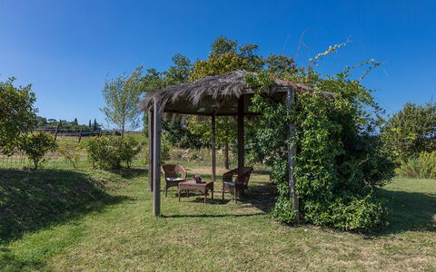 Villa Palazzaccio 26: Arbuste, Jardin, Ombre, Structure En Plein Air, Belvédère, Pergola, Aménagement Paysager, Pavillon, Plantation
