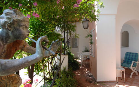 Casa Maria 6+2: Arbuste, Jardin, Printemps, Pot De Fleur, Hacienda, Plante D'Appartement, Cour, Ombre, Vacances