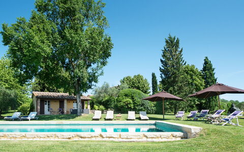 Podere Gragnano 12: Arbre, Herbe, Arbuste, Lot Terre, Pelouse, Jardin, Domicile, Biens, Chalet