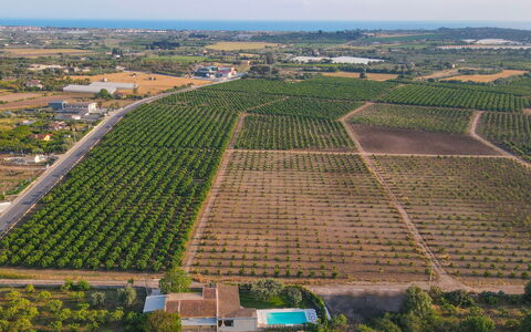 Il Giardino dei Limoni 8: Vue Du Ciel, Agriculture, Champ, Paysage, Plantation, Plaine, Lot Terre, Photographie Aérienne, Surgir, Ferme