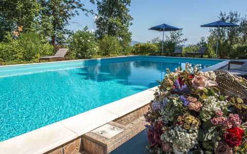 Villa Ombrosa 8: Bleu, Piscine, Recours, Eco Hôtel, Loisir, Mobilier De Jardin, Jardin, Aménagement Paysager, Ombre, Chaise