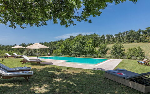Casale Piattini 10: Jardin, Prairie, Aménagement Paysager, Piscine, Pelouse, Biens, Plantation, Parc, Mobilier De Jardin, Ferme