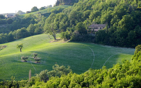 Casa Melograno 11+2: Vert, Herbe, Arbre, Environnement Naturel, La Nature, Végétation, Paysage Naturel, Prairie, Paysage, Plaine