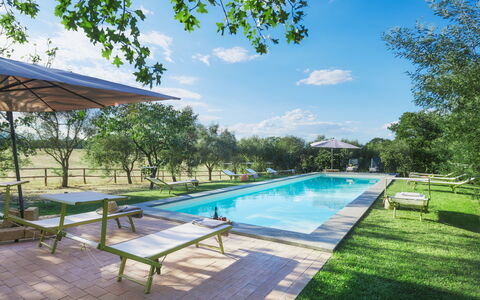 Casale Dell Oasi 12: Jardin, Piscine, Loisir, Biens, Aménagement Paysager, Parc, Ombre, Pelouse, Mobilier De Jardin, Recours