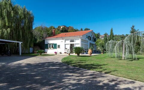 Villa Bubi 8+1: Arbre, Domicile, Maison, Arbuste, Zone Résidentielle, Chalet, Biens, Ombre, Allée, Pelouse