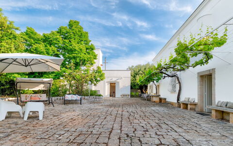 Masseria Profilo 8: Pot De Fleur, Ombre, Dalle, Jardin, Mobilier De Jardin, Cour, Plante D'Appartement, Chaise, Cour, Allée