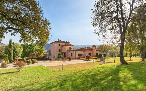 Tenuta Esdra 20: Arbuste, Biens, Jardin, Hacienda, Aménagement Paysager, Pelouse, Cour, Villa, Manoir