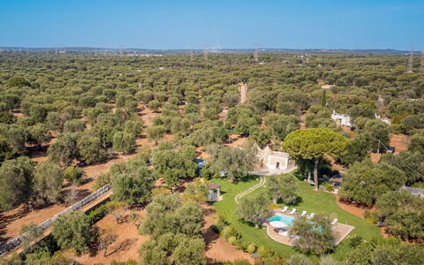 Trulli Biancapetra 8+2: Arbre, La Nature, Environnement Naturel, Végétation, Paysage, Lot Terre, Vue Du Ciel, Plaine, Photographie Aérienne