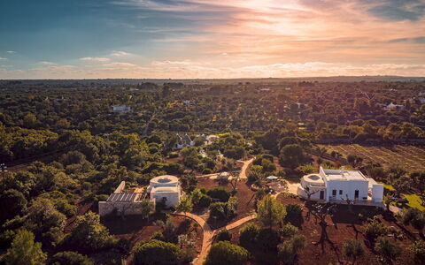 Borgo Dell'Agrumeto 8: Arbre, La Nature, Horizon, Paysage, Vue Du Ciel, Photographie Aérienne, Lumière Du Soleil, Biens, Plantation, Formations Arbustives