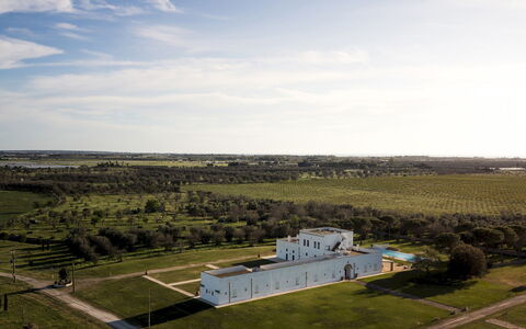 Masseria Samali 14+4: Jour, Herbe, Plaine, Paysage, Prairie, Lot Terre, Zone Rurale, Biens, Champ, Prairie