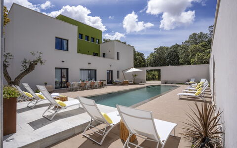 Villa Maria Paradiso 10: Zone Résidentielle, Domicile, Design Urbain, Biens, Appartement, Villa, Aménagement Paysager, Ombre, Conception, Piscine