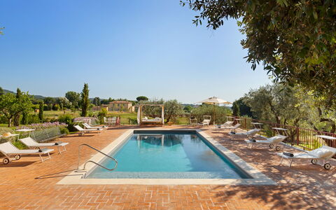 Antico Ceraso 10: Piscine, Recours, Biens, Jardin, Hacienda, Eco Hôtel, Aménagement Paysager, Mobilier De Jardin, Balancelle, Villa