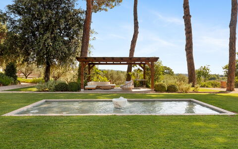 Antico Ceraso 10: Arbre, Jardin, Arbuste, Lot Terre, Ombre, Aménagement Paysager, Pelouse, Piscine, Arrière-Cour