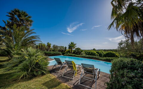 Villa Pineta 6: Bleu, Vert, Arbre, Piscine, Végétation, Recours, Arbuste, Eco Hôtel, Jardin