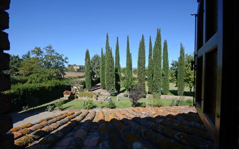 La Magia 8+2: Arbuste, Jardin, Aménagement Paysager, À Feuilles Persistantes, Famille Pine, Haie