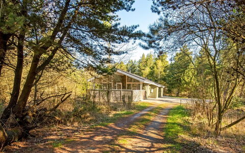Liina - 3Km from the Sea: Arbre, Environnement Naturel, Branche, Bois, Domicile, Chalet, Zone Rurale, Lot Terre, Des Bois, Brindille