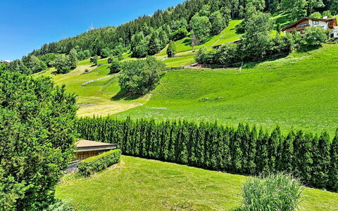 Arzl im Pitztal 15: Vert, Paysage Naturel, Arbuste, Paysage, Montagnes, Station De Montagne, Haie, Jardin, Prairie, Plantation