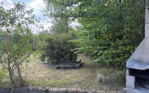 Hedwig - 120M to the Fjord: Arbuste, Jardin, Suppression Des Plantes Ligneuses, Arrière-Cour, Aménagement Paysager, À Feuilles Persistantes