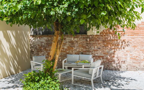 Contemporary House: Feuille, Mobilier De Jardin, Meubles, Arbuste, Jardin, Ombre, Printemps, Chaise, Arrière-Cour