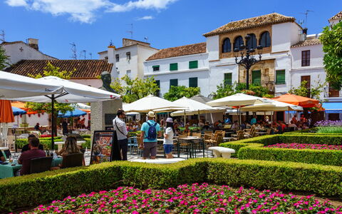 La Quinta Hills: Espace Public, Jardin, Usage Mixte, Loisir, Aménagement Paysager, Vacances, Jardin Botanique, Centre De La Ville, Parapluie