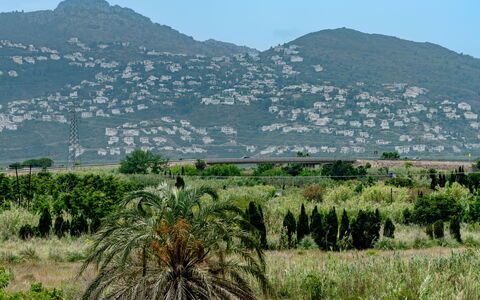 Oliva Nova Cabagua: Montagnes Relief, Végétation, Montagne, Colline, Paysage, Écorégion, Montagnes, Communauté Des Plantes, Station De Montagne, Chaîne De Montagnes