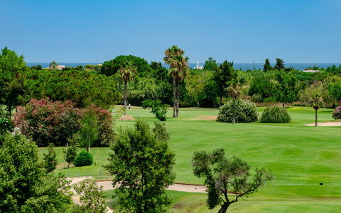Oliva Nova Cabagua: Arbre, Arbuste, Paysage, Lot Terre, Prairie, Jardin, Pelouse, Aménagement Paysager, Plantation