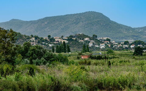 Oliva Nova Cabagua: Montagnes Relief, Colline, Montagne, Végétation, Paysage Naturel, Montagnes, Communauté Des Plantes, Paysage, Écorégion, Prairie