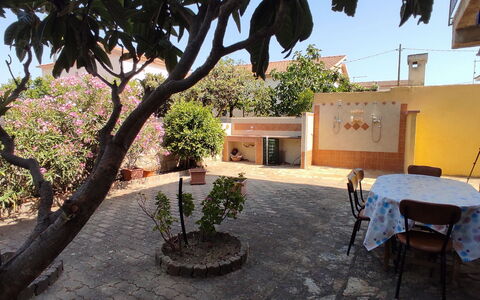 Casa Bianca, Budoni: Pot De Fleur, Ombre, Plante D'Appartement, Cour, Hacienda, Cour, Balcon, Arrière-Cour