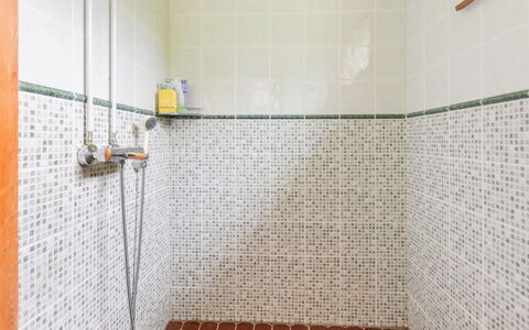 Alpola: Sol, Sol, Tuile, Luminaire Plomberie, Plomberie, Salle De Bains, Tete De Douche, Douche