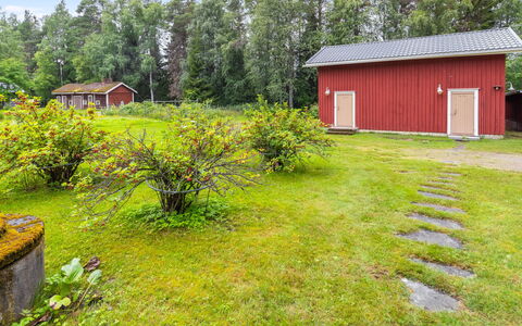 Alpola: Herbe, Vert, Végétation, Arbuste, Lot Terre, Maison, Chalet, Communauté Des Plantes, Jardin