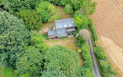 Hollybush Studio: Arbre, Végétation, Paysage, Maison, Zone Rurale, Arbuste, Toit, Chalet, Domicile, Communauté Des Plantes