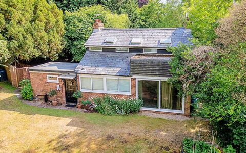 Hollybush Studio: Maison, Toit, Domicile, Arbuste, Chalet, Zone Résidentielle, Zone Rurale, Biens, Jardin, Couverture De Sol