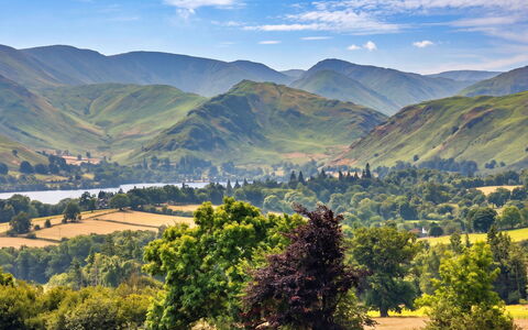 Willow'S View: Montagne, Montagnes Relief, Vert, Colline, Paysage Naturel, Montagnes, Chaîne De Montagnes, Prairie, Paysage, Écorégion