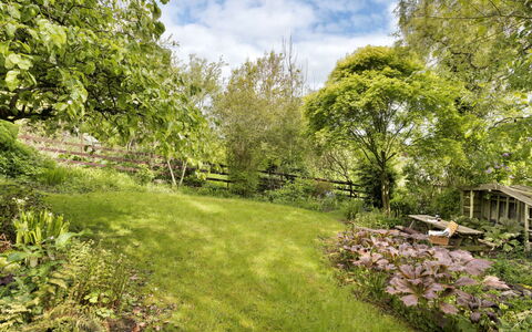 Bourne Edge: Herbe, Végétation, Arbuste, Jardin, Communauté Des Plantes, Prairie, Couverture De Sol, Lot Terre, Printemps