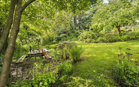 Bourne Edge: Vert, Arbre, Feuille, La Nature, Environnement Naturel, Herbe, Branche, Végétation, Paysage Naturel