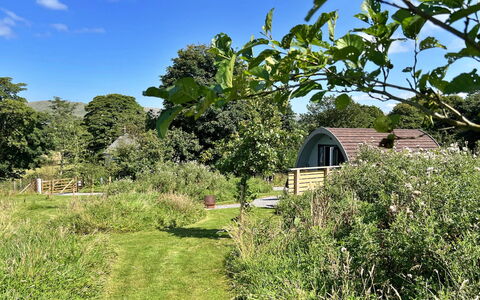 Whinfell Pod: Arbuste, Jardin, Lot Terre, Nuage, Zone Rurale, Couverture De Sol, Chalet, Printemps, Prairie, Pelouse