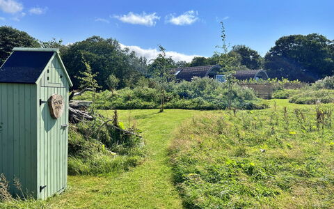 Whinfell Pod: Herbe, Arbuste, Prairie, Communauté Des Plantes, Zone Rurale, Lot Terre, Jardin, Couverture De Sol