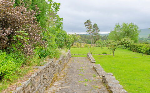 Evergreen Manor: Herbe, Environnement Naturel, Paysage Naturel, Végétation, Arbuste, Prairie, Mur De Pierre, Paysage, Communauté Des Plantes