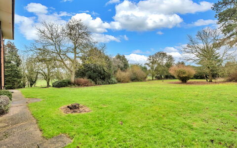 Clavering Hall: Arbre, Herbe, Arbuste, Prairie, Jardin, Plaine, Lot Terre, Pelouse, Couverture De Sol
