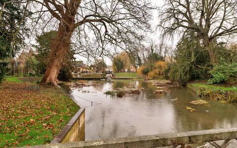 The Potting Shed at Island Hall: L'Eau, Arbre, Plan D'Eau, Ressources En Eau, La Nature, Branche, Cours D'Eau, Voie Navigable, Banque, Paysage