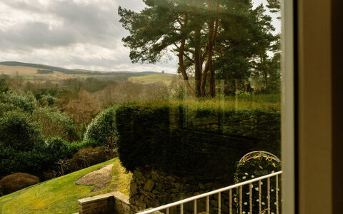 Greenacres: Lumière Du Soleil, Jardin, Aménagement Paysager, Haie, Plantation