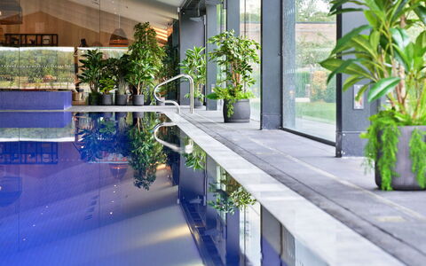 The Glass House at the Lakes by Yoo: Piscine, Pot De Fleur, Recours, Plante D'Appartement, Ombre, Eco Hôtel, Hôtel, Conception, Cour, Caractéristique De L'Eau