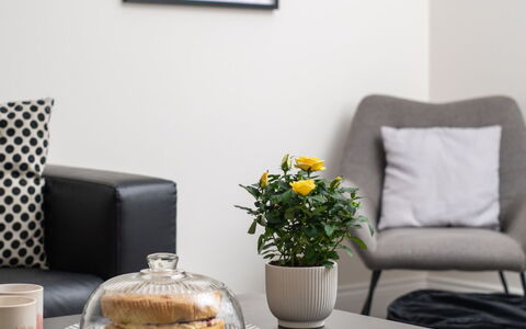 Field View: Meubles, Design Intérieur, Canapé, Domicile, Salon, Table, Coussin, Textile, Throw Pillow, Sol