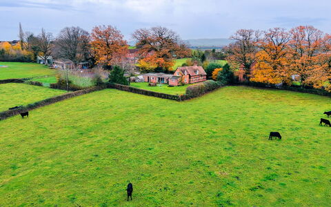 Cricketers' Cottage: Herbe, Vert, Prairie, Paysage, Zone Rurale, Plaine, Lot Terre, Pâturage, Prairie, Champ