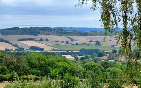 New Lodge Granary: Vert, Végétation, Paysage Naturel, Arbuste, Prairie, Écorégion, Communauté Des Plantes, Paysage, Plaine, Lot Terre