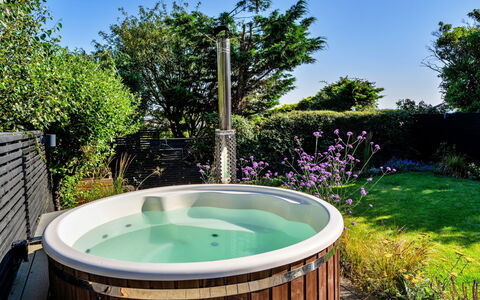 Firethorn: Baignoire, Luminaire Plomberie, Composite, Jacuzzi, Jardin, Tache De Bois, Conception, Cour, Dur