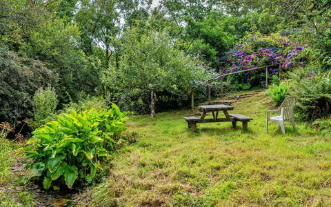 Millook Water: La Nature, Végétation, Arbuste, Jardin, Communauté Des Plantes, Lot Terre, Couverture De Sol, Zone Rurale, Printemps
